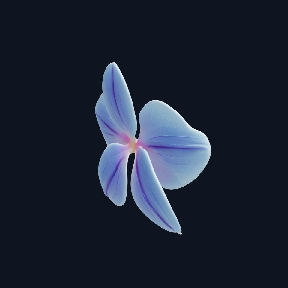 Orchid Bloom D Model Pack